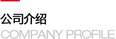 某某网络科技有限公司