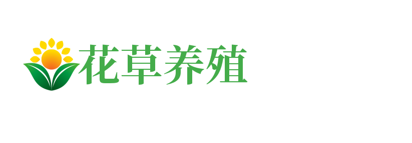 (PC+WAP)花卉养殖新闻资讯类pbootcms模板 绿色花草植物网站源码
