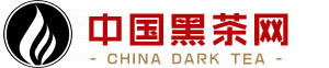 某某网络科技有限公司