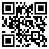 某某网络科技有限公司