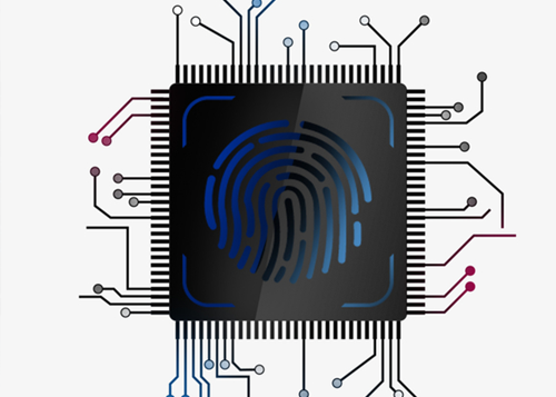 XMCMS demo data